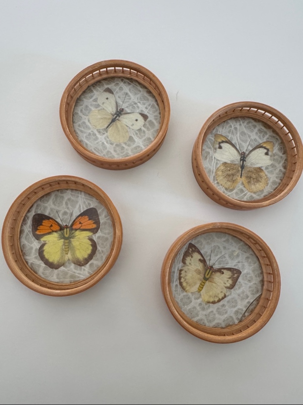 Vintage Pressed Butterfly Coasters Set of 4 Round Wood Acrylic Boho Decor